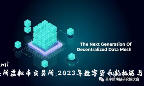 ```xml
北交所虚拟币交易所：2023年数字货币新机遇与挑战