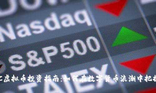 : MDC虚拟币投资指南：如何在数字货币浪潮中把握机遇